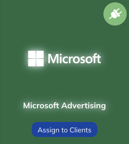 MicrosoftAds_Assign.png