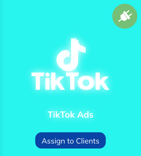 TikTokAds_AssigntoClients.png