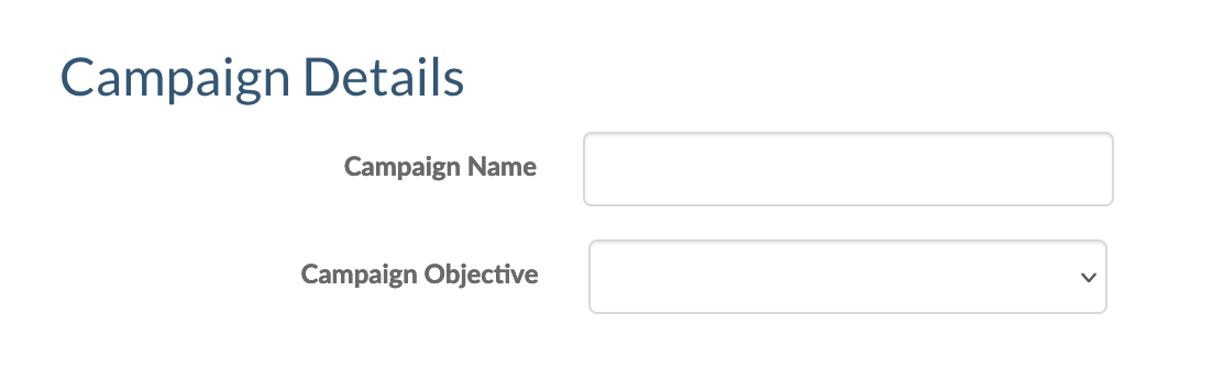 LinkedinAds_CampaignDetails.png
