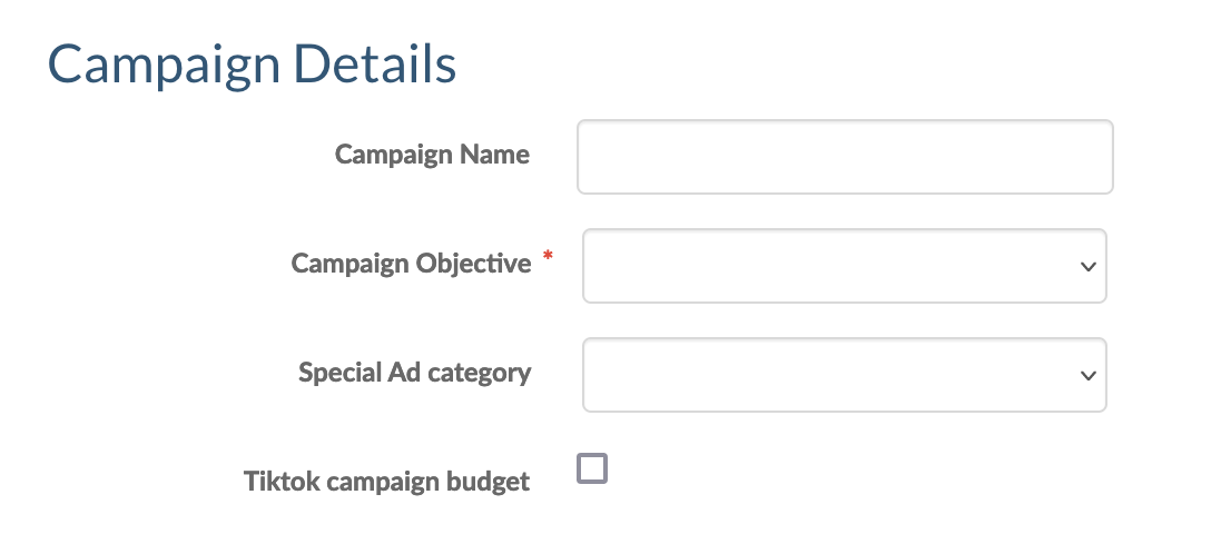 TikTokAds_CampaignDetails.png