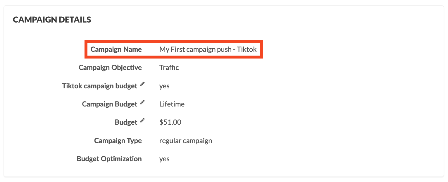 TikTokAds_CampaignName.png