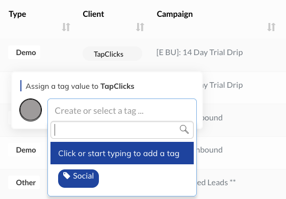 LeadsManagement_NewTag.png