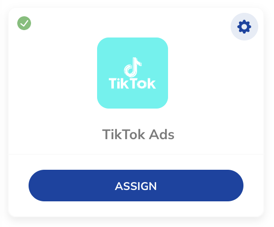 TikTokAds_Assign.png