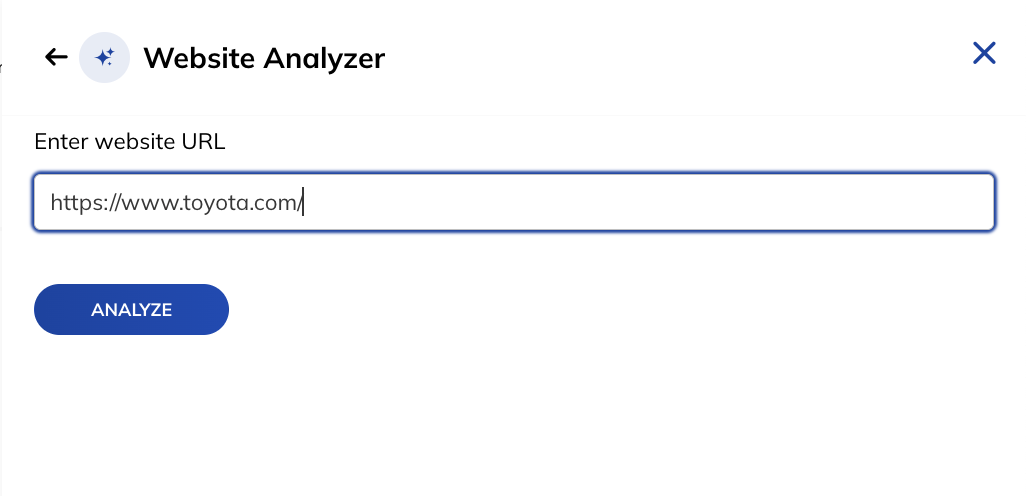 Website Analyzer Agent