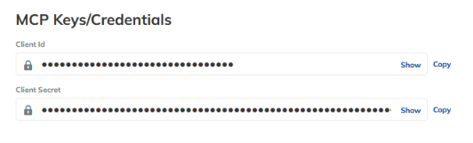 MCP Keys and Credentials Section
